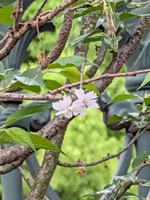 妙法寺(東京都)
