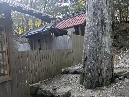 宇治神社の{uncategorized: "未分類", other: "その他", undefined: "問題あり", building: "その他建物", grave: "お墓", sacred_gate: "鳥居", guardian: "狛犬", statue: "像", buddha: "仏像", history: "歴史", nature: "自然", garden: "庭園", animal: "動物", pagoda: "塔", temizu: "手水舎", mountain_gate: "山門・神門", sanctuary: "本殿・本堂", subordinate: "末社・摂社", art: "芸術", scenery: "景色", jizo: "地蔵", ema: "絵馬", goshuin: "御朱印", omikuji: "おみくじ", items: "授与品その他", amulet: "お守り", goshuincho: "御朱印帳", eats: "食事", festival: "お祭り", votive_dance: "神楽", shichigosan: "七五三参", wedding: "結婚式", experience: "体験その他", initially: "初詣", around: "周辺", anti_infection: "感染症対策"}