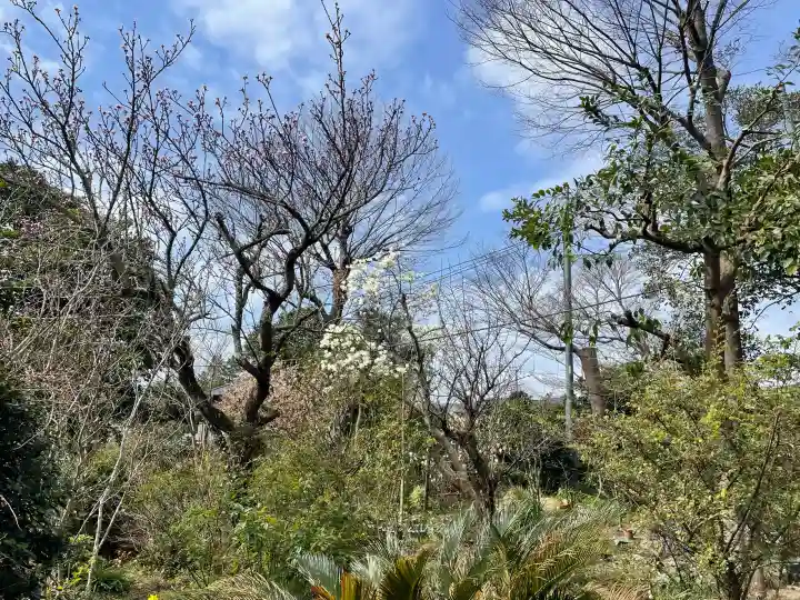 妙法寺の{uncategorized: "未分類", other: "その他", undefined: "問題あり", building: "その他建物", grave: "お墓", sacred_gate: "鳥居", guardian: "狛犬", statue: "像", buddha: "仏像", history: "歴史", nature: "自然", garden: "庭園", animal: "動物", pagoda: "塔", temizu: "手水舎", mountain_gate: "山門・神門", sanctuary: "本殿・本堂", subordinate: "末社・摂社", art: "芸術", scenery: "景色", jizo: "地蔵", ema: "絵馬", goshuin: "御朱印", omikuji: "おみくじ", items: "授与品その他", amulet: "お守り", goshuincho: "御朱印帳", eats: "食事", festival: "お祭り", votive_dance: "神楽", shichigosan: "七五三参", wedding: "結婚式", experience: "体験その他", initially: "初詣", around: "周辺", anti_infection: "感染症対策"}