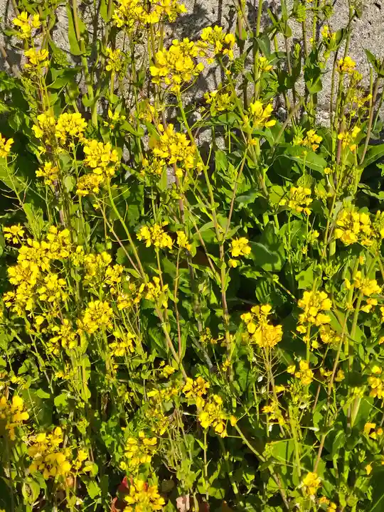 朝倉神社の周辺