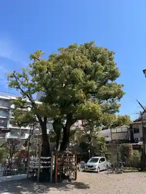 蒲田八幡神社の{uncategorized: "未分類", other: "その他", undefined: "問題あり", building: "その他建物", grave: "お墓", sacred_gate: "鳥居", guardian: "狛犬", statue: "像", buddha: "仏像", history: "歴史", nature: "自然", garden: "庭園", animal: "動物", pagoda: "塔", temizu: "手水舎", mountain_gate: "山門・神門", sanctuary: "本殿・本堂", subordinate: "末社・摂社", art: "芸術", scenery: "景色", jizo: "地蔵", ema: "絵馬", goshuin: "御朱印", omikuji: "おみくじ", items: "授与品その他", amulet: "お守り", goshuincho: "御朱印帳", eats: "食事", festival: "お祭り", votive_dance: "神楽", shichigosan: "七五三参", wedding: "結婚式", experience: "体験その他", initially: "初詣", around: "周辺", anti_infection: "感染症対策"}