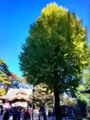 布多天神社(東京都)