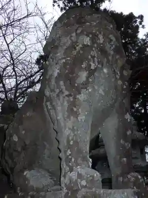 井上八幡神社の狛犬