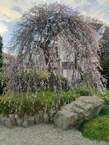 南之院(東京都)