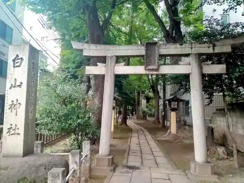 荻窪白山神社(東京都)