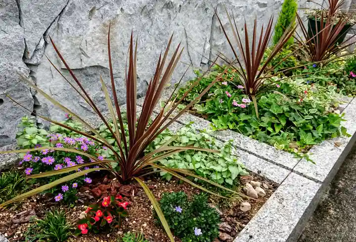 寿量山 速成寺の庭園