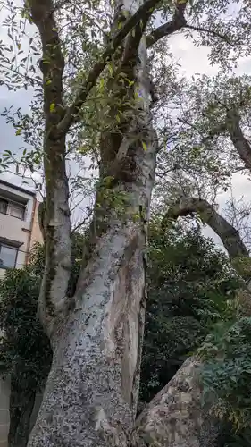 白峯神宮(京都府)