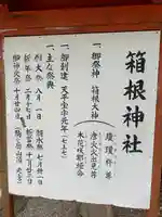 箱根神社(神奈川県)