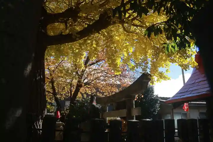 晴門田神社の鳥居