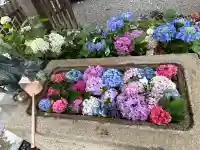 天明宿星宮神社(栃木県)