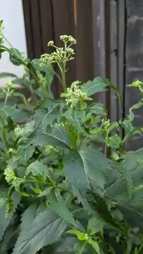 行願寺（革堂）(京都府)