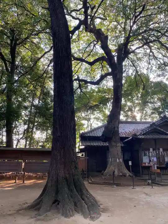 氷川女體神社(埼玉県)