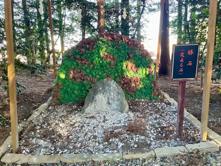 下野 星宮神社(栃木県)