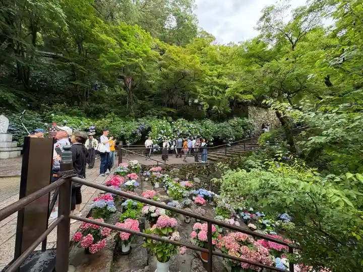 長谷寺(奈良県)