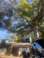 大宮・大原神社(千葉県)