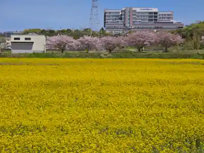 常光寺(兵庫県)