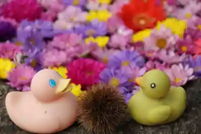 大鏑神社の手水舎