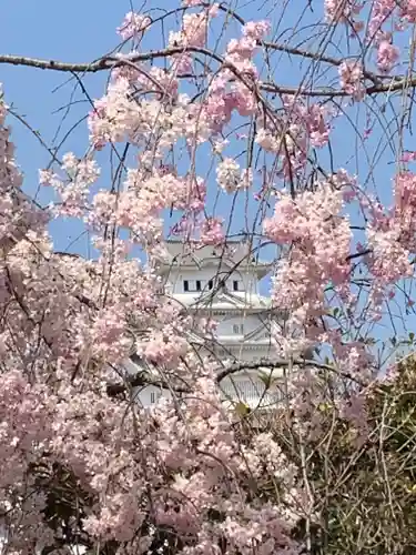 千姫天満宮の周辺