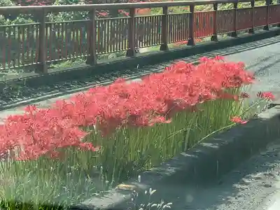 高麗神社(埼玉県)