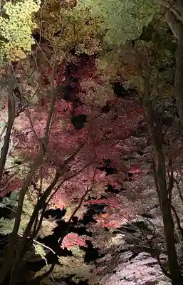 教林坊(滋賀県)