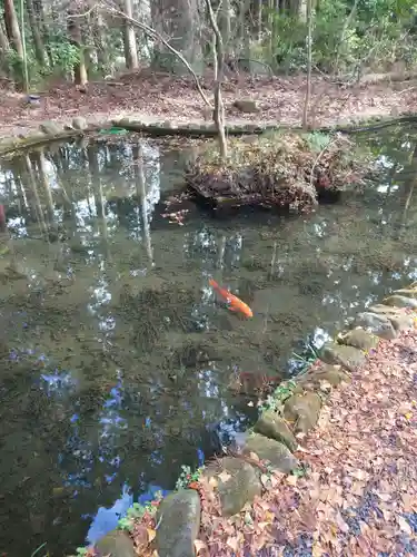 都々古別神社(八槻)(福島県)