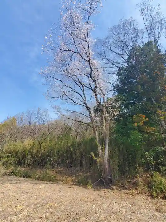 御嶽山神社(里宮)(栃木県)