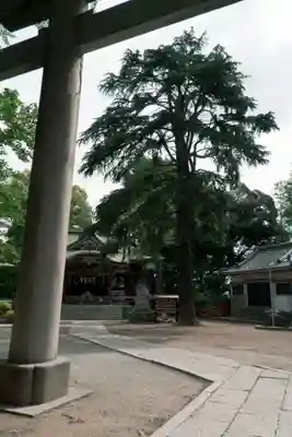 葛西神社(東京都)