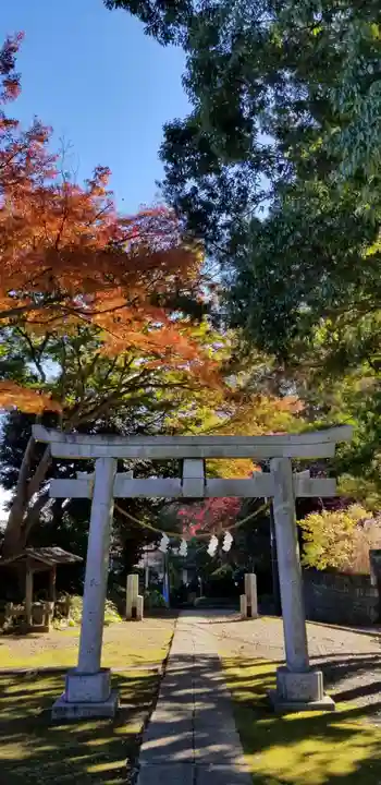 国府台天満宮の鳥居