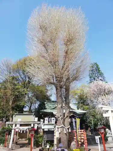 川越八幡宮のその他建物