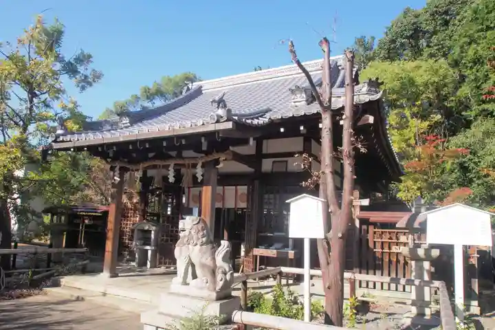 新熊野神社の本殿・本堂