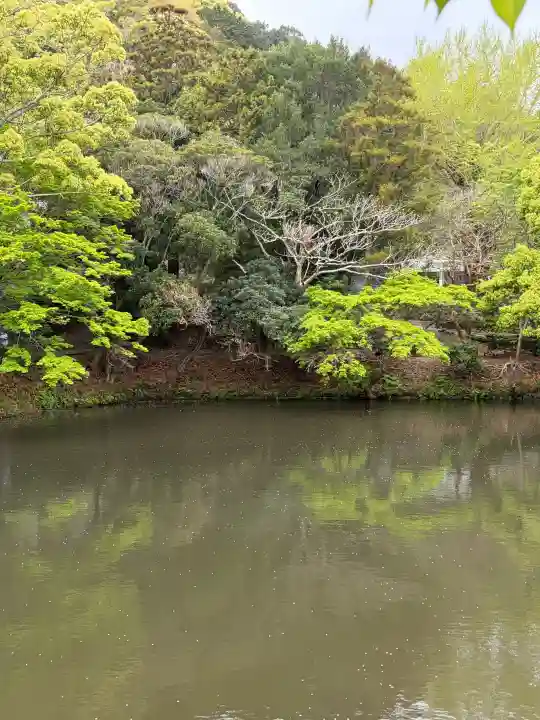 安房神社の{uncategorized: "未分類", other: "その他", undefined: "問題あり", building: "その他建物", grave: "お墓", sacred_gate: "鳥居", guardian: "狛犬", statue: "像", buddha: "仏像", history: "歴史", nature: "自然", garden: "庭園", animal: "動物", pagoda: "塔", temizu: "手水舎", mountain_gate: "山門・神門", sanctuary: "本殿・本堂", subordinate: "末社・摂社", art: "芸術", scenery: "景色", jizo: "地蔵", ema: "絵馬", goshuin: "御朱印", omikuji: "おみくじ", items: "授与品その他", amulet: "お守り", goshuincho: "御朱印帳", eats: "食事", festival: "お祭り", votive_dance: "神楽", shichigosan: "七五三参", wedding: "結婚式", experience: "体験その他", initially: "初詣", around: "周辺", anti_infection: "感染症対策"}