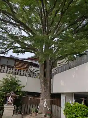 出雲大社美作分院(岡山県)
