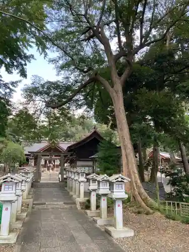 塚崎神明社(千葉県)