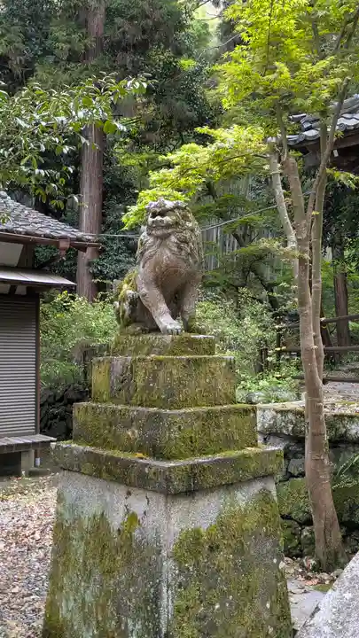 椎尾神社(大阪府)