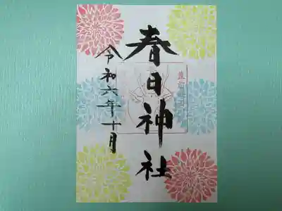 ダリア（片面）