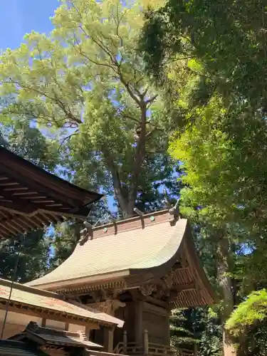 大國玉神社(茨城県)