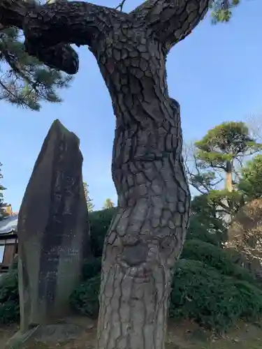 延命寺(身代り不動尊)の庭園