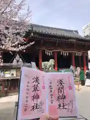 浅草神社の御朱印