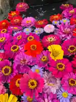 大鏑神社(福島県)