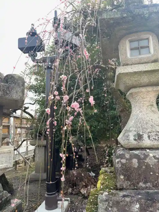 北野天満宮の{uncategorized: "未分類", other: "その他", undefined: "問題あり", building: "その他建物", grave: "お墓", sacred_gate: "鳥居", guardian: "狛犬", statue: "像", buddha: "仏像", history: "歴史", nature: "自然", garden: "庭園", animal: "動物", pagoda: "塔", temizu: "手水舎", mountain_gate: "山門・神門", sanctuary: "本殿・本堂", subordinate: "末社・摂社", art: "芸術", scenery: "景色", jizo: "地蔵", ema: "絵馬", goshuin: "御朱印", omikuji: "おみくじ", items: "授与品その他", amulet: "お守り", goshuincho: "御朱印帳", eats: "食事", festival: "お祭り", votive_dance: "神楽", shichigosan: "七五三参", wedding: "結婚式", experience: "体験その他", initially: "初詣", around: "周辺", anti_infection: "感染症対策"}