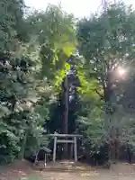 星宮神社(千葉県)