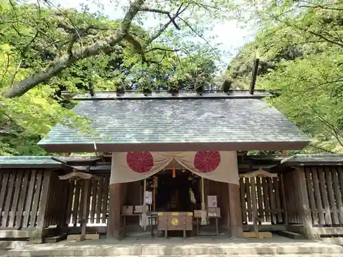 金崎宮の本殿・本堂