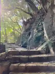 圓教寺の建物その他