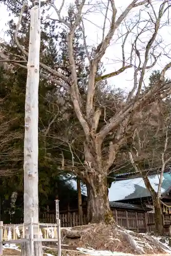 諏訪大社上社前宮(長野県)