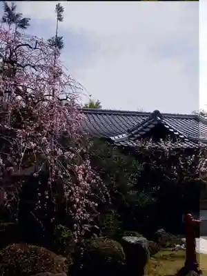 蓮華王院（三十三間堂）のその他建物