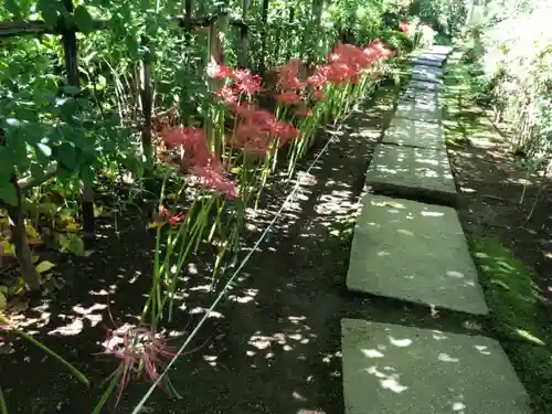 龍眼寺（萩寺）の自然