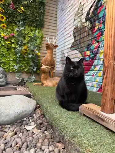露天神社（お初天神）(大阪府)