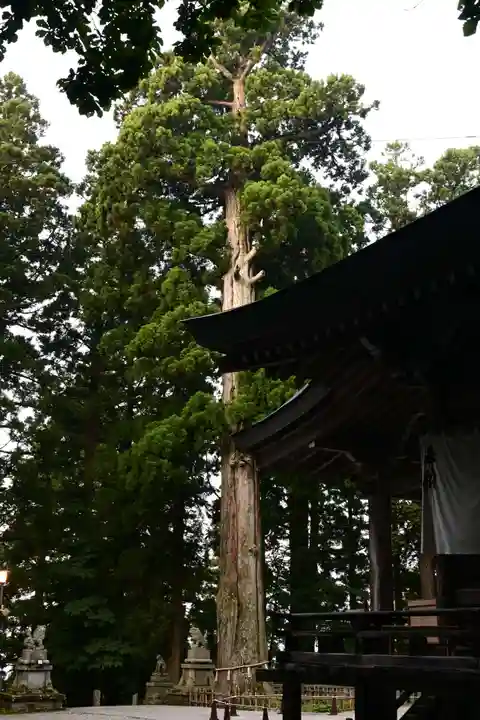 戸隠神社中社(長野県)