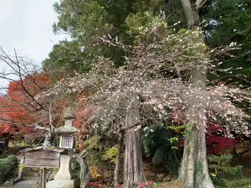鹿島大神宮(福島県)