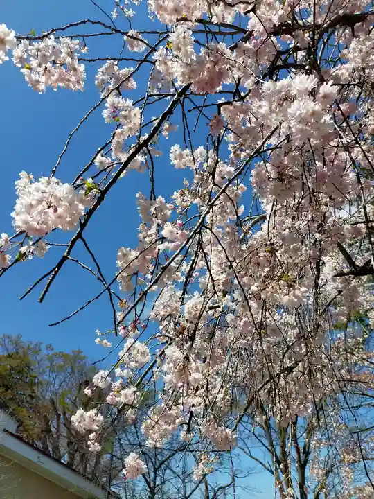 久留米水天宮の自然